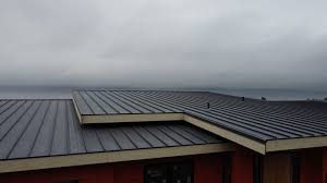 Best Emergency Roof Repair Services  in Louisburg, NC